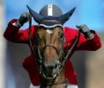 /album/fotogaleria-haluzzzzzzikkkkkk/normal-horsehead-jpg/
